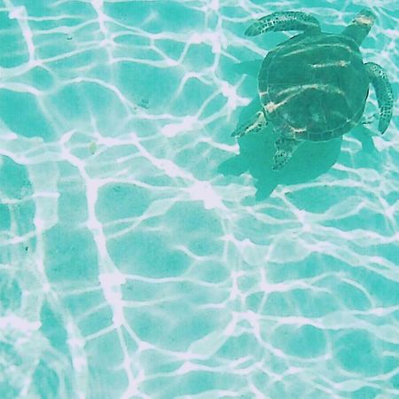 Thalassa Beach And Pool Villa 요론 외부 사진